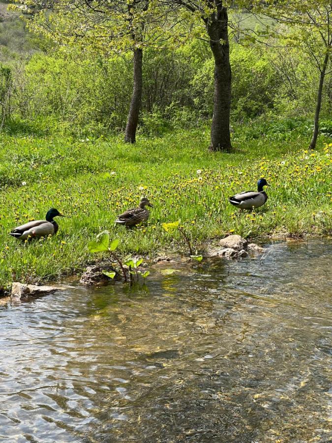 Rustic Inn River 2 Plitvička Jezera Zewnętrze zdjęcie