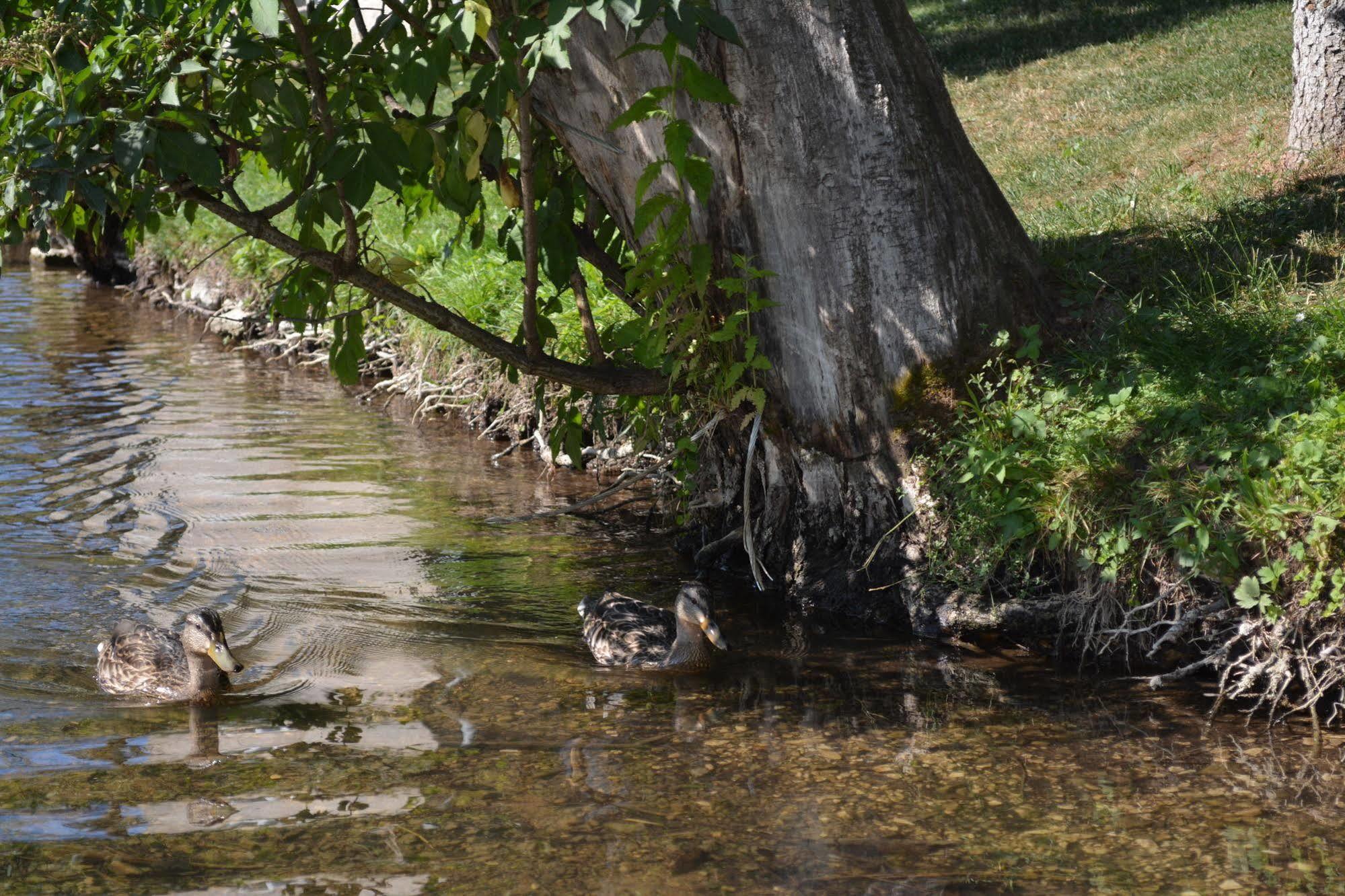 Rustic Inn River 2 Plitvička Jezera Zewnętrze zdjęcie